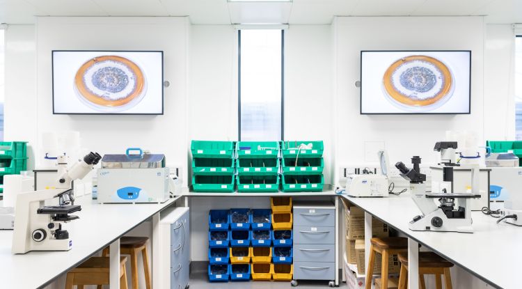 Willow terrace lab close up 1