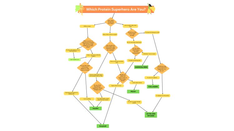 "What protein superpower are you?" quiz