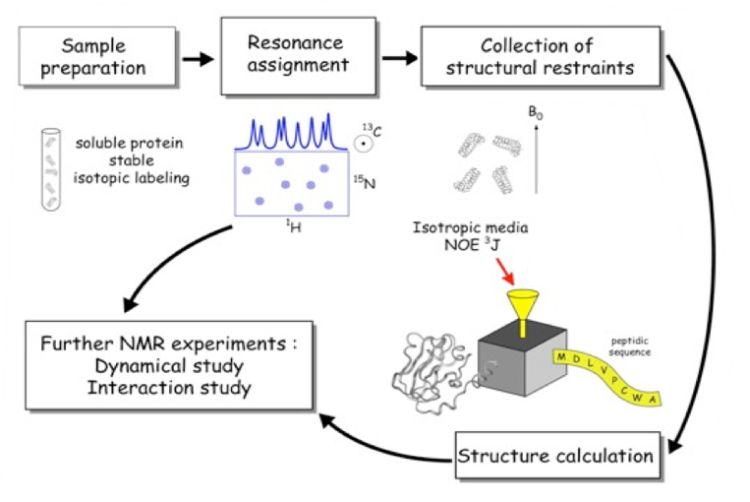 Nmr applications