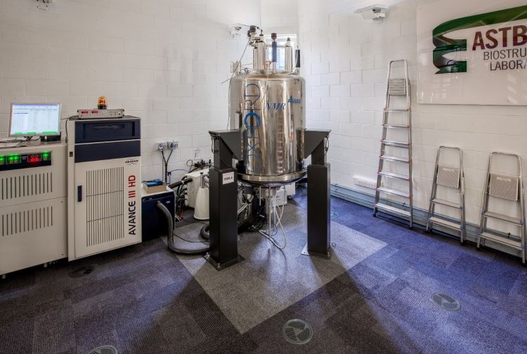 600 MHz Oxford NMR magnet