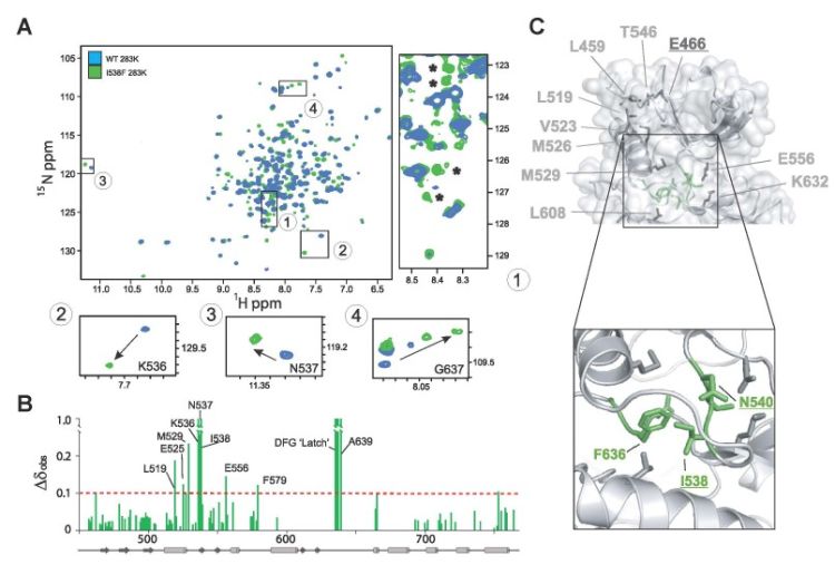 Tyrosine kinases